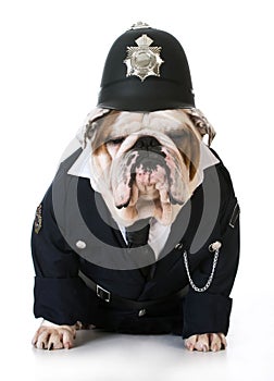 Dog police or catcher