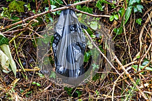 Black dog poo poop bag left in bush. photo