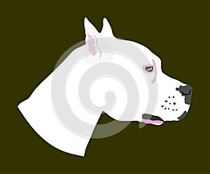 Dog portrait of American Staffordshire pit bull terrier vector illustration isolated. Dogo Argentino had. Guard sign. Beware of do