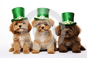 a dog portrait with a hat for St. Patrick's Day, in the style of fantasy illustration. Generative AI