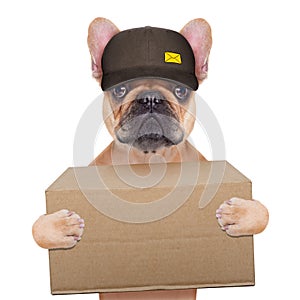 Dog postman