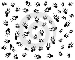 Dog prints