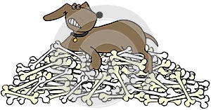 Dog protecting a pile of bones