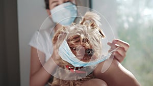 Dog in protective medical mask. coronavirus pandemic concept. little teenage girl puts a medical mask on a dog. self