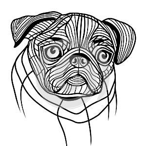 Dog pug head vector