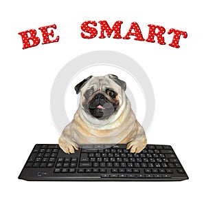 Dog pug typing on black keyboard