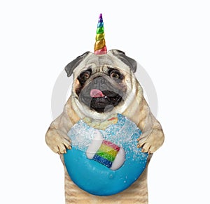 Dog pug unicorn with blue donut