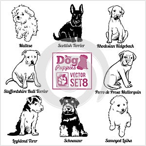 Dog Puppies - Vector set. Funny dogs puppy pet characters different breads doggy.