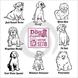 Dog Puppies - Vector set. Funny dogs puppy pet characters different breads doggy.