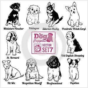 Dog Puppies - Vector set. Funny dogs puppy pet characters different breads doggy.