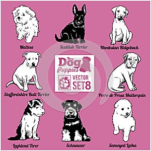 Dog Puppies - Vector set. Funny dogs puppy pet characters different breads doggy.