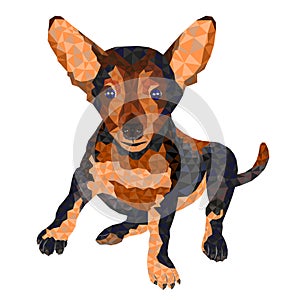 Dog puppy brown terrier outline low-polygon vector illustration editable hand draw