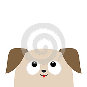 Dog puppy head looking up. Cute cartoon character. Pet baby collection.