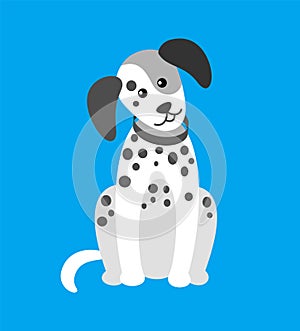 Dog Puppy with Spots Canine Wearing Collar on Neck