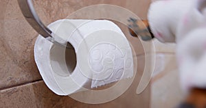 Dog puppy turns paw toilet paper roll hanging on restroom wall joke. Pet prank