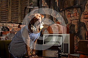 Dog radioman in retro style