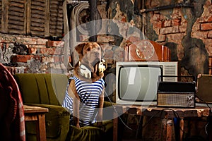 Dog radioman in retro style