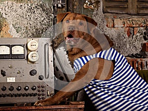 Dog radioman in retro style