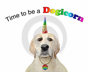 Dog with rainbow horn