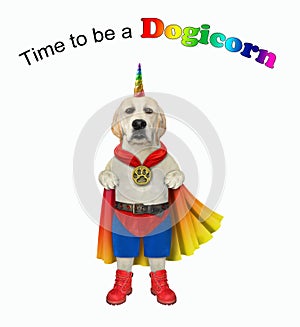 Dog with rainbow horn 2