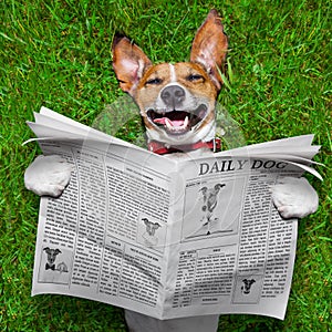 Dog reading newspaper