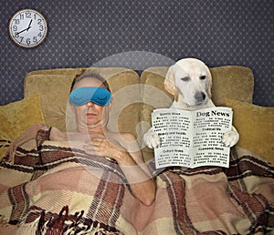 Dog reads newspaper at night 2