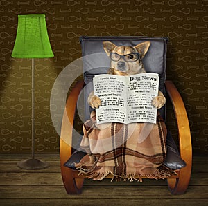 Dog reads a newspaper at a torchere