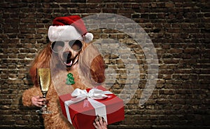 Dog in red Christmas hat with gift and champagne.