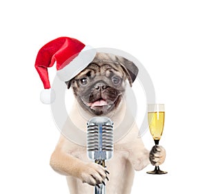 Dog in red christmas hat holding retro microphone and glass of champagne. Isolated on white background