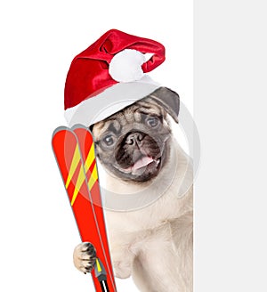 Dog in red christmas hat holding skis and peeking from behind empty board. isolated on white background