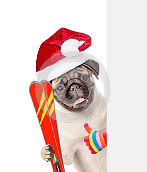 Dog in red christmas hat holding skis, peeking from behind empty board and showing thumbs up. isolated on white background