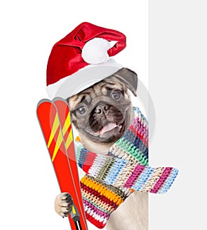 Dog in red christmas hat and scarf holding skis and peeking from behind empty board. isolated on white background