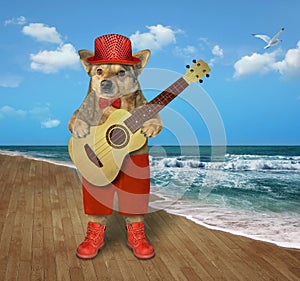 Dog in red hat plays guitar on beach 2