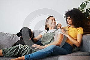 Dog, relax or happy lesbian couple on sofa together in healthy relationship or lgbtq love connection. Talking