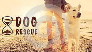 Dog rescue concept