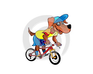 Dog riding bicycle vector illustration