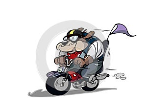 Dog riding a motorcycle