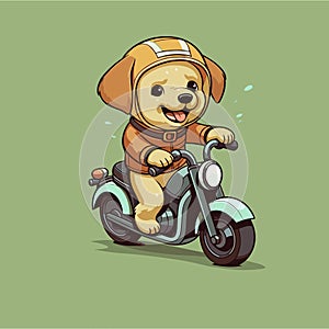 cool dog riding a scooper photo