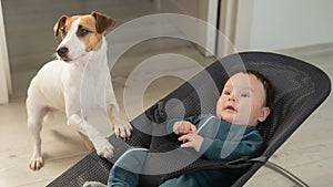 A dog rocks a cute three month old boy dressed in a blue onesie in a baby bouncer.