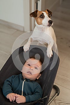 A dog rocks a cute three month old boy dressed in a blue onesie in a baby bouncer. Vertical photo.