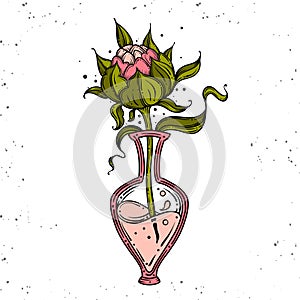 Dog rose flower and leaves drawing illustration. for pattern, logo, template, banner, posters, invitation and greeting card design