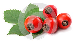 Dog Rose or wild rose Rosa canina berries with green leaf isolated on white background