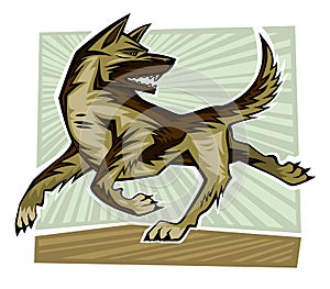 Dog Running