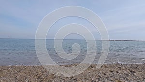 A dog runs along the beach and barks at the sea.