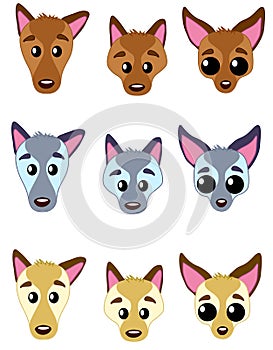 Dog`s faces 02 photo