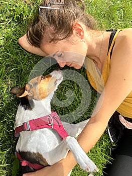 Dog's love lying on green grass
