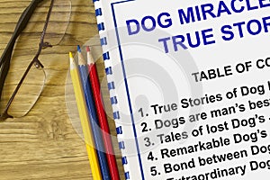 Dog;s miracle