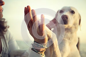 Dog\'s paw and man\'s hand gesture of friendship