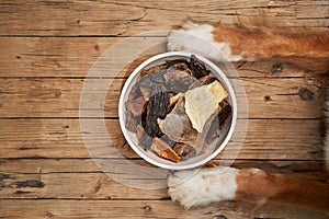 A dog's paws frame a bowl of treats on a wooden floor, expressing eagerness