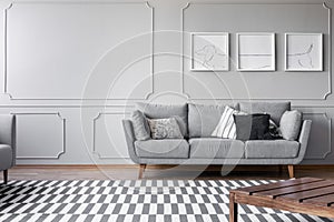 Dog`s posters on the grey wall of bright living room with comfortable grey couch with pillows, real photo with copy space